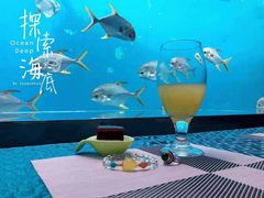 -瑞德姆美人鱼海底演艺主题餐厅(亚龙湾店)