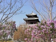 -水西公园