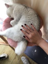 -兮奈ネイル美甲美睫·皮肤管理