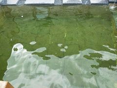 -望儿山温泉水乐园