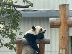 -无锡动物园·太湖欢乐园