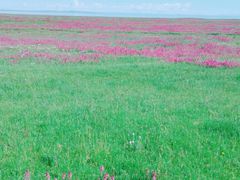 -青海湖国家重点风景名胜区