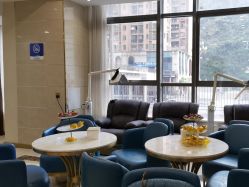 -碧莲盛·不剃发植发