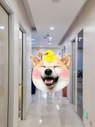 -上海时光整形外科医院