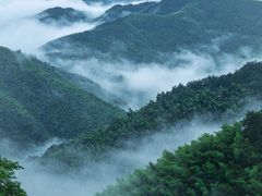 -莫干山风景区