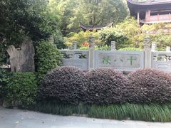 -十八棵（老龙井）御茶园(老龙井店)