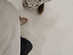 -冰纷万象滑冰场(深圳万象城店)