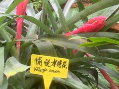 -国家植物园南园