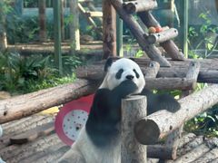 -大连森林动物园