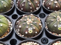 -瑞虹新天地月亮湾
