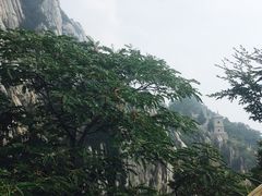 -嵩山少林文化旅游景区