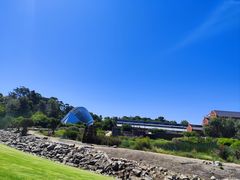 -墨尔本皇家植物园