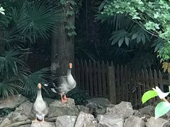 -上海虹桥迎宾馆