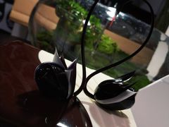 -BLACKSWAN黑天鹅(环球店)