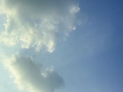 -四海酒家生态粤菜