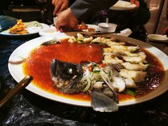 珍珠斑-甄御•海鲜新青岛菜(麦岛店)