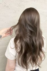 -蚂蚁造型俱乐部