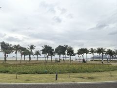 -野狸岛
