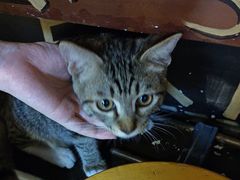 -逃脱反斗城沉浸剧情密室(北京路店)