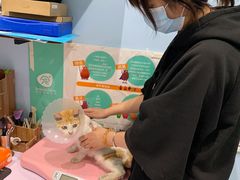 -拜鲁耶动物诊疗中心·宠家动物医院