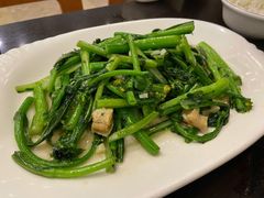 猪油渣菜心-美极鲜食坊(宝安南路店)