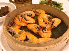 白灼海虾-粤珍轩.创始店.始于2001(含光门店)