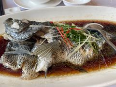 -骏莱海鲜鱼港(五角场店)