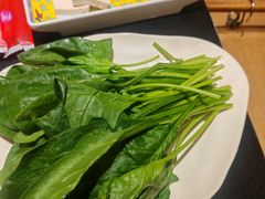 -芦月轩羊蝎子(劲松店)