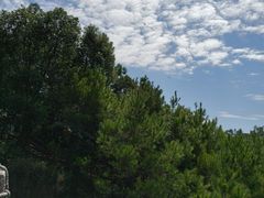 -广州白江湖森林公园