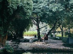 -成都市活水公园
