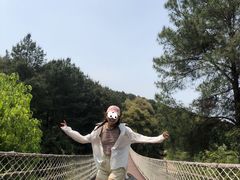 -铁山坪森林公园