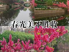 -元大都城垣遗址公园