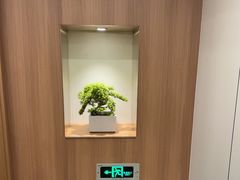 -大鹏饭店·金陵家宴(奥体中心店)