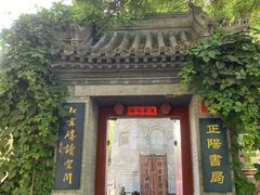 -万松老人塔