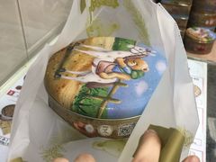 -珍妮曲奇聪明小熊(尖沙咀店)