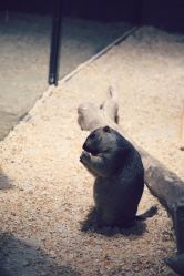 -酷嗒动物文化乐园(cutezoo西溪乐天城店)