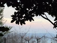 -大理实力希尔顿酒店•香全日制餐厅