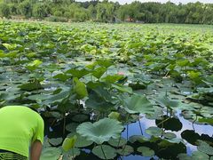 -长春市南湖公园