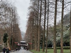 -青城山
