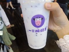 -一只酸奶牛(八一路店)