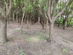 -嘉北郊野公园
