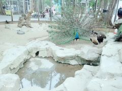 -东部华侨城