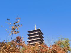 -牛首山文化旅游区