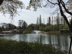 iphone_upload_pic-井之头恩赐公园