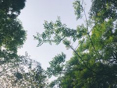 -杭州植物园