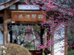 -杭州植物园