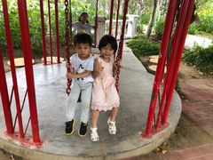 -百万葵园