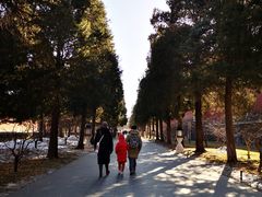 -东华门大街小区