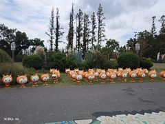 -上海长兴岛郊野公园