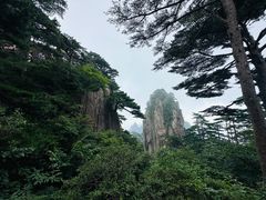 -黄山风景区